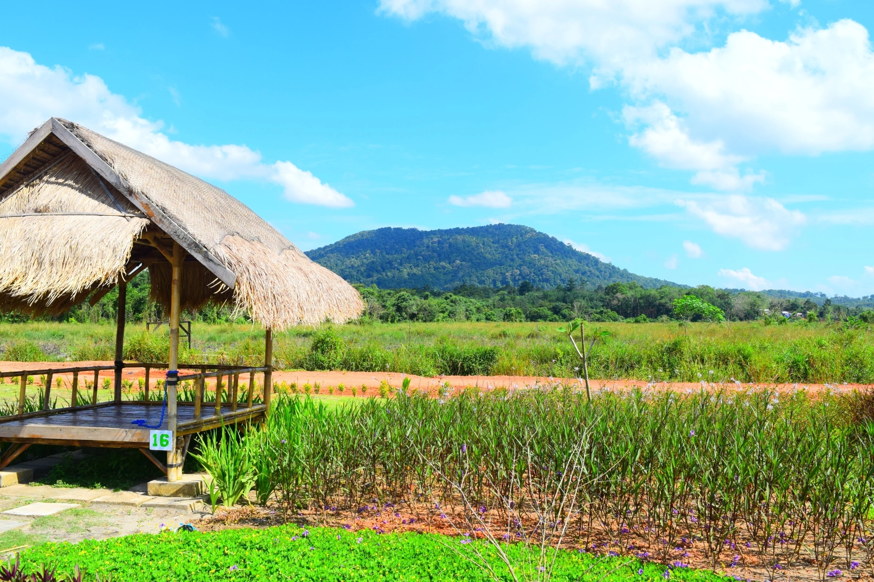 Poyotomo Gunung Bintan