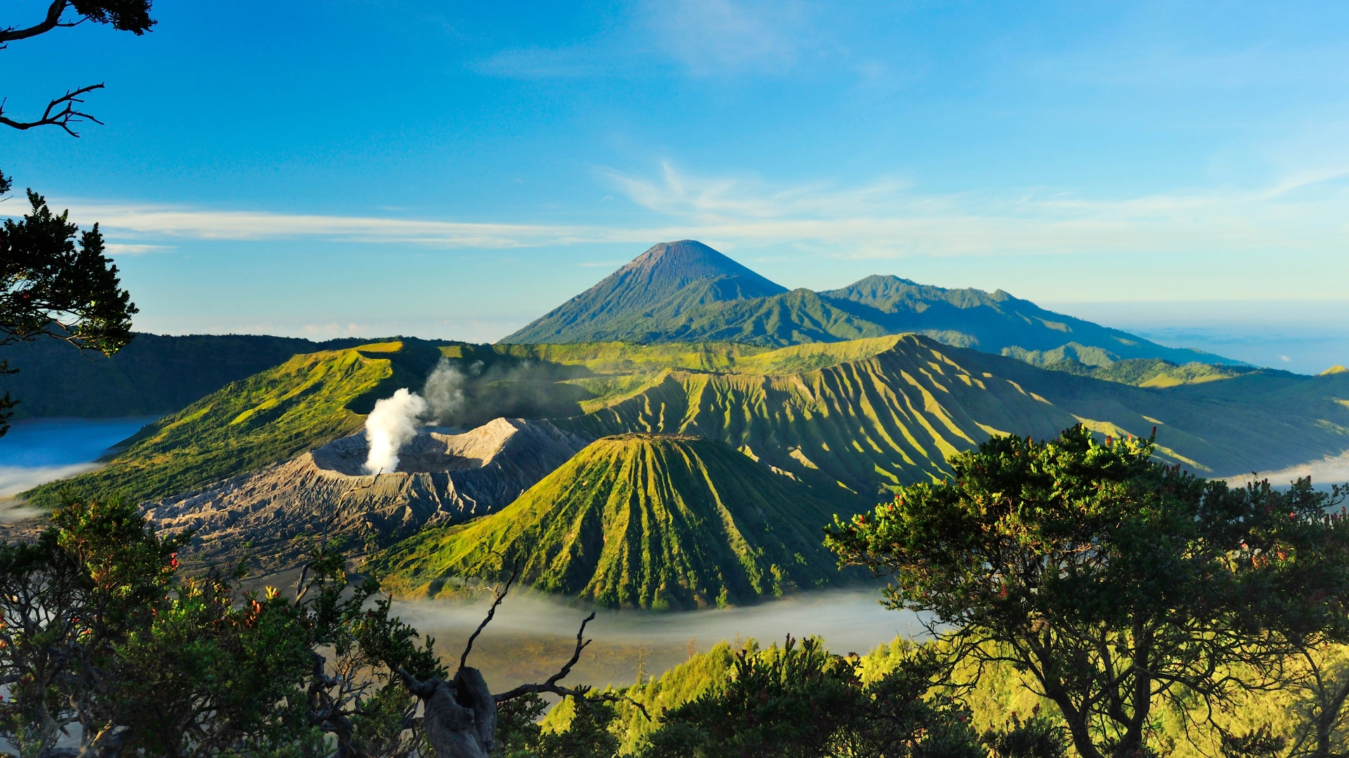 Explore Mount Bromo and Mount Ijen Package