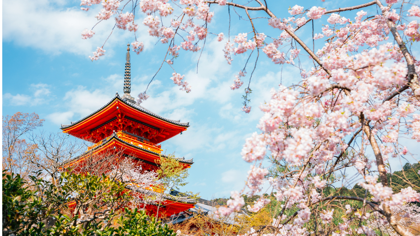9 Days Japan Cherry Blossom Golden Route Tour