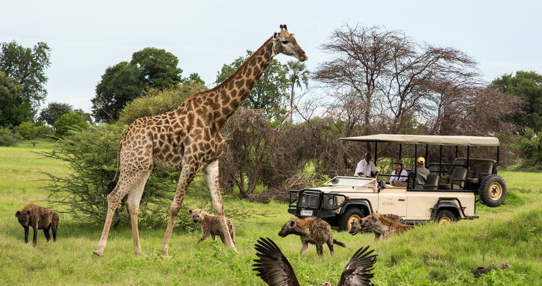 Moremi Wildlife Reserve