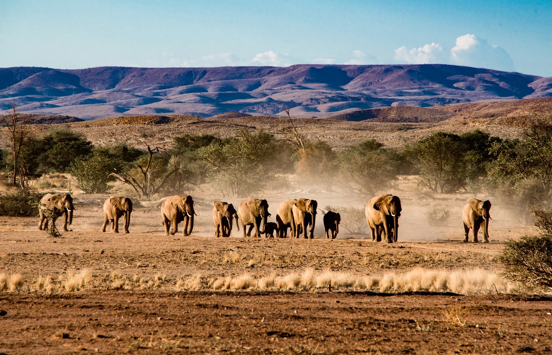 Etosha National Park