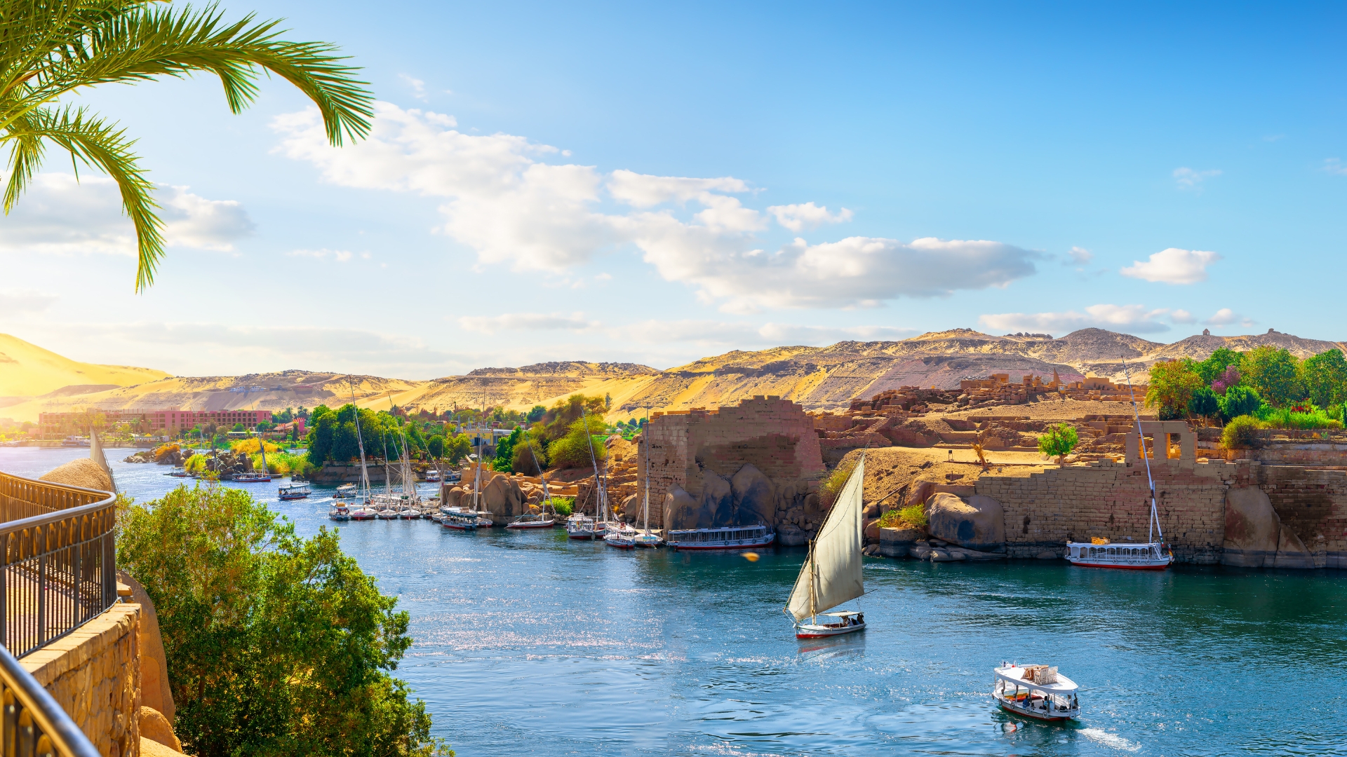 8 Day Halal Trip of Cairo & Alexandria with 5-Star Nile Cruise