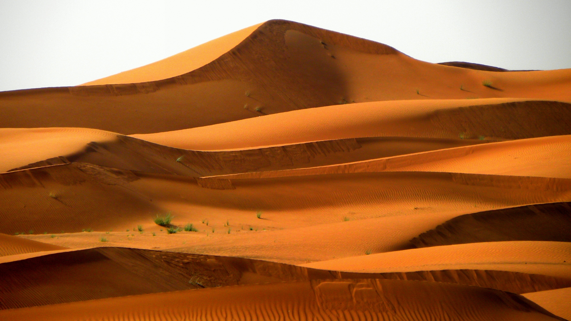 10 Day Nile Egypt Experience & White-Desert Safari