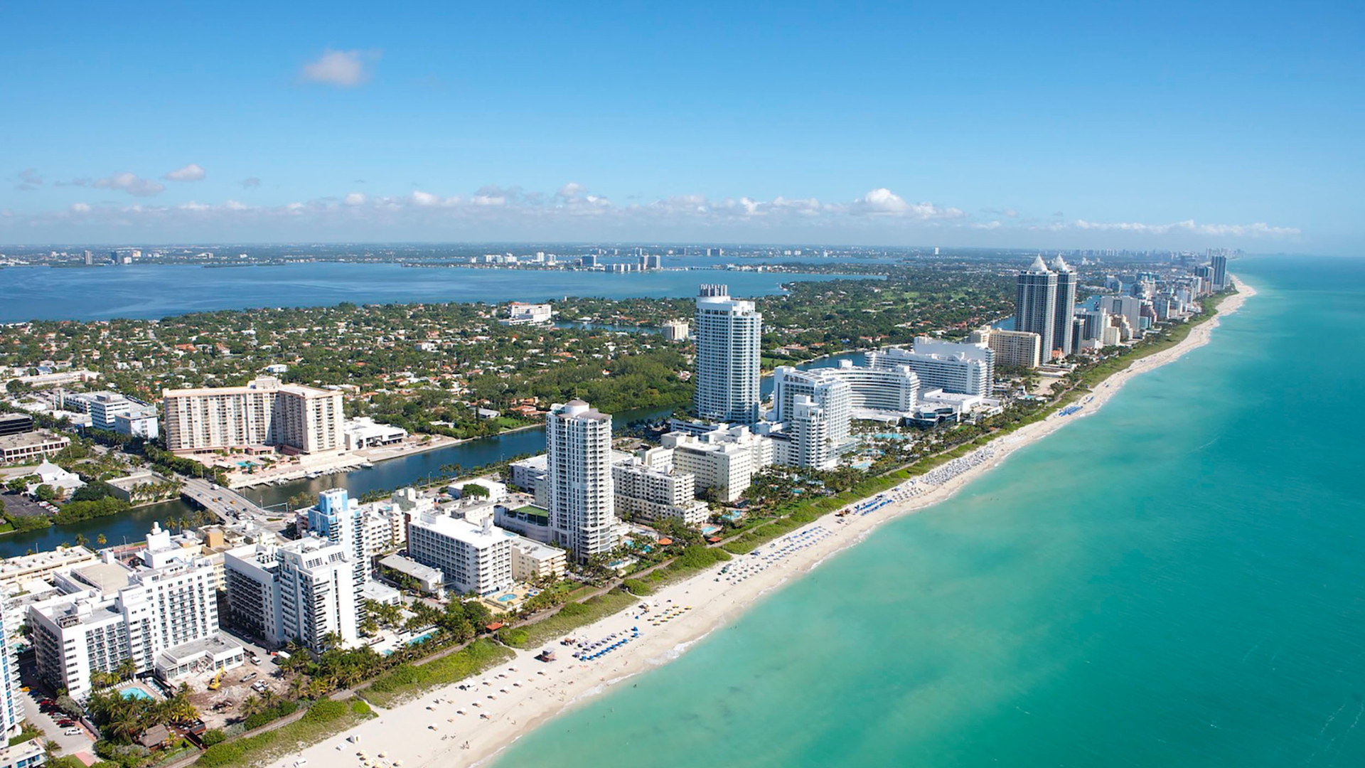 Orlando & Miami: Disney Magic, Animal Adventures & Vibrant City Life