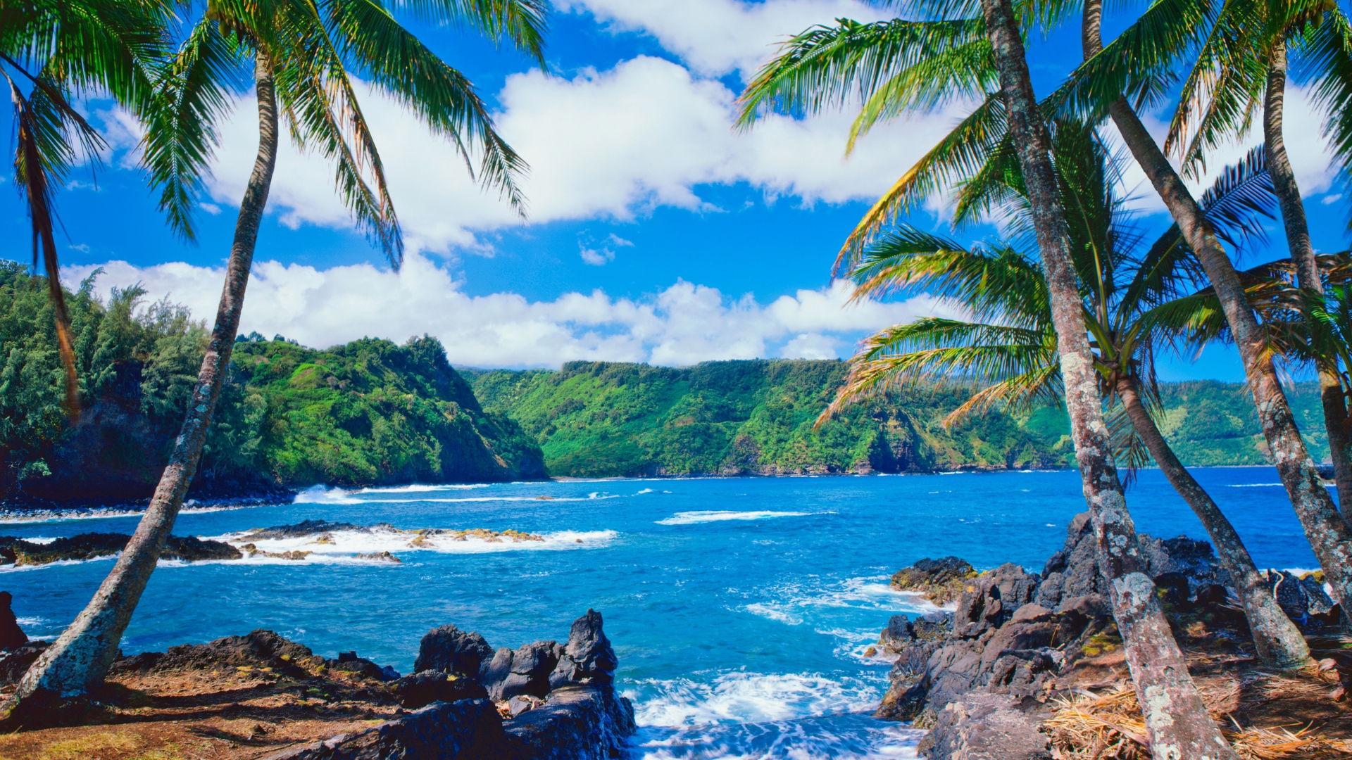 Honolulu & Maui: 7-Day Hawaii Tour 