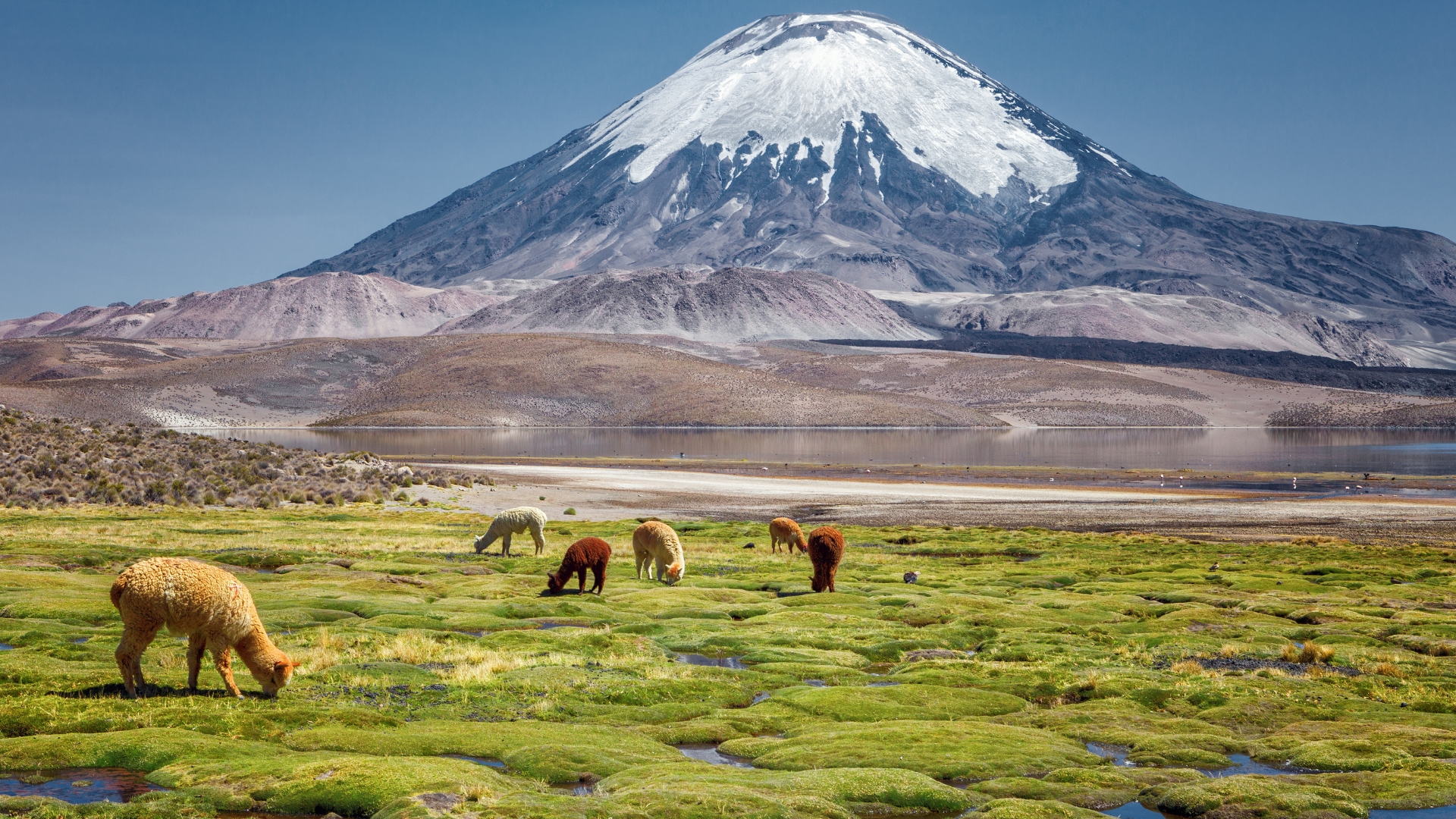 Andean Circuit: 10-Day Bolivia, Chile & Argentina Adventure