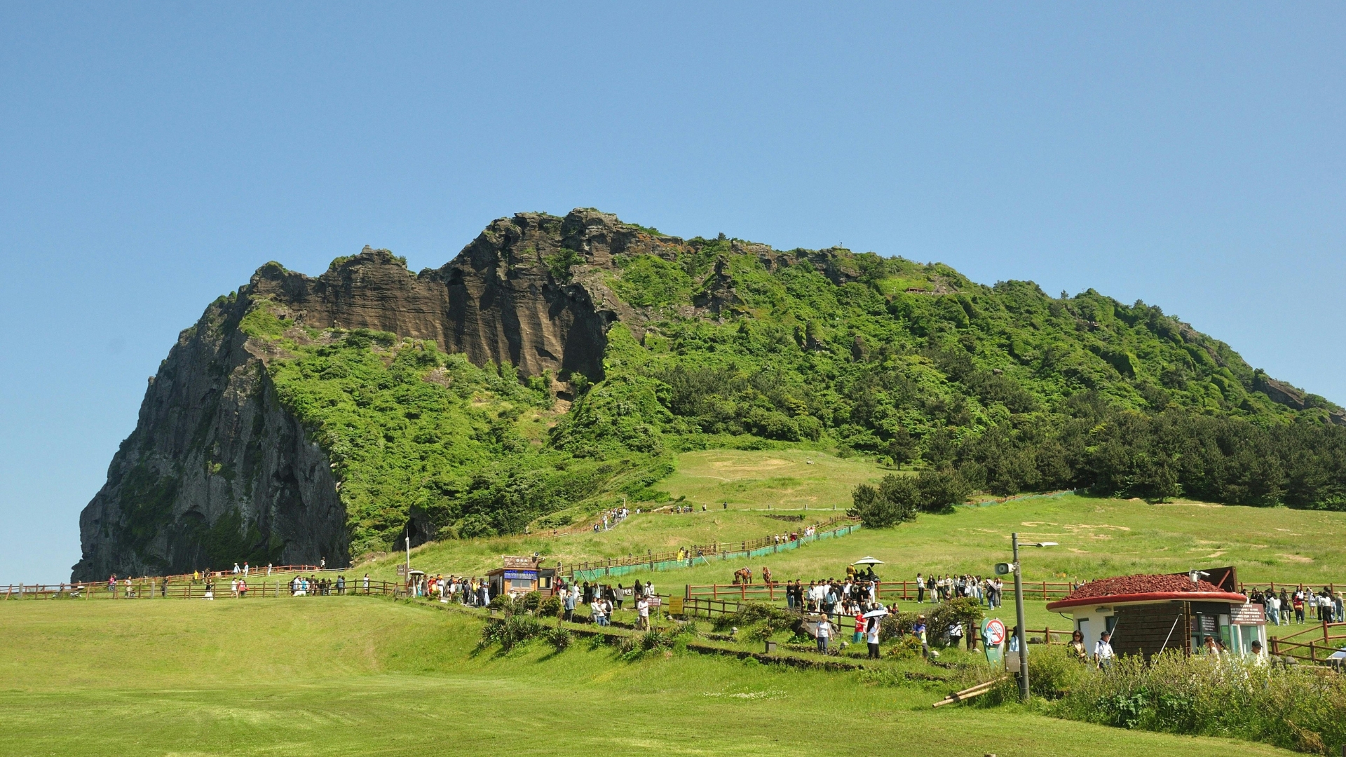 Seoul to Jeju Halal Trip in 7-Day