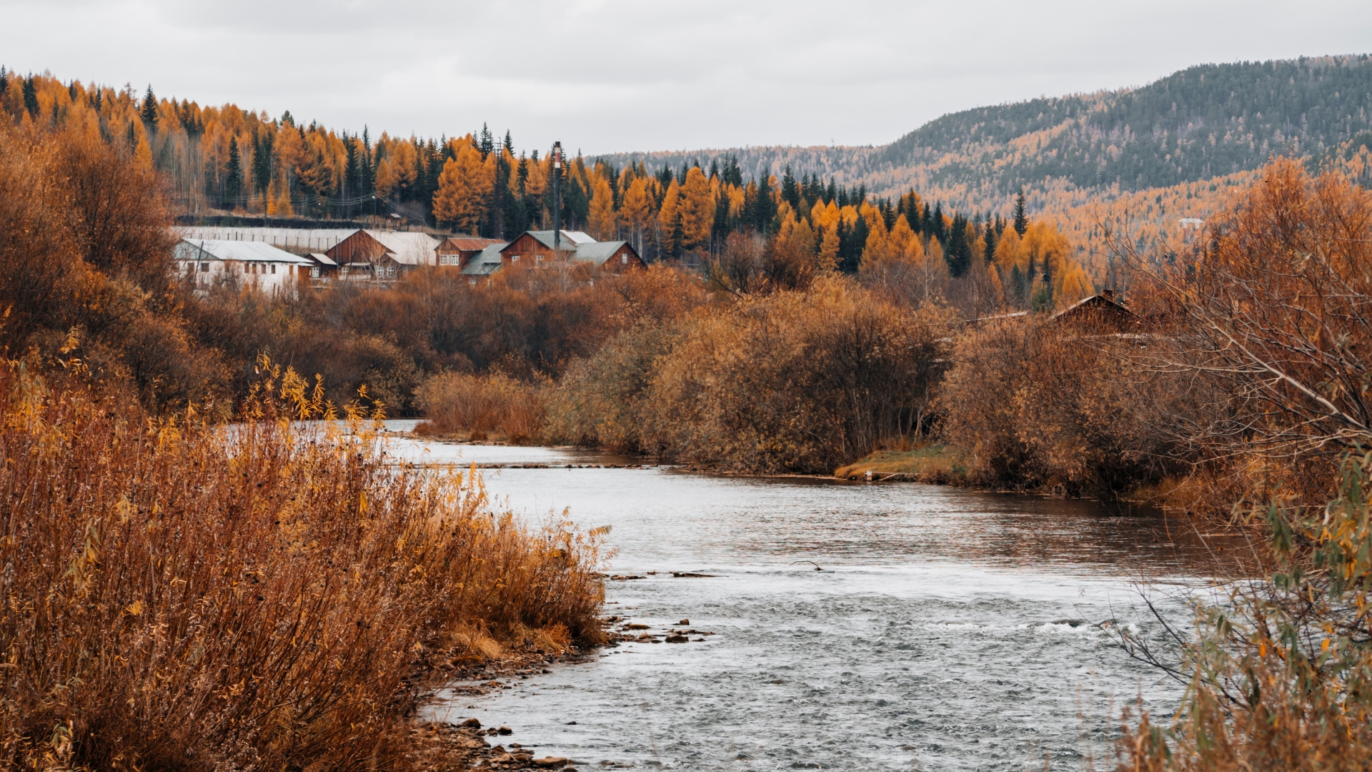 Russia Winter Highlights 7 Day Moscow and Saint Petersburg Tour