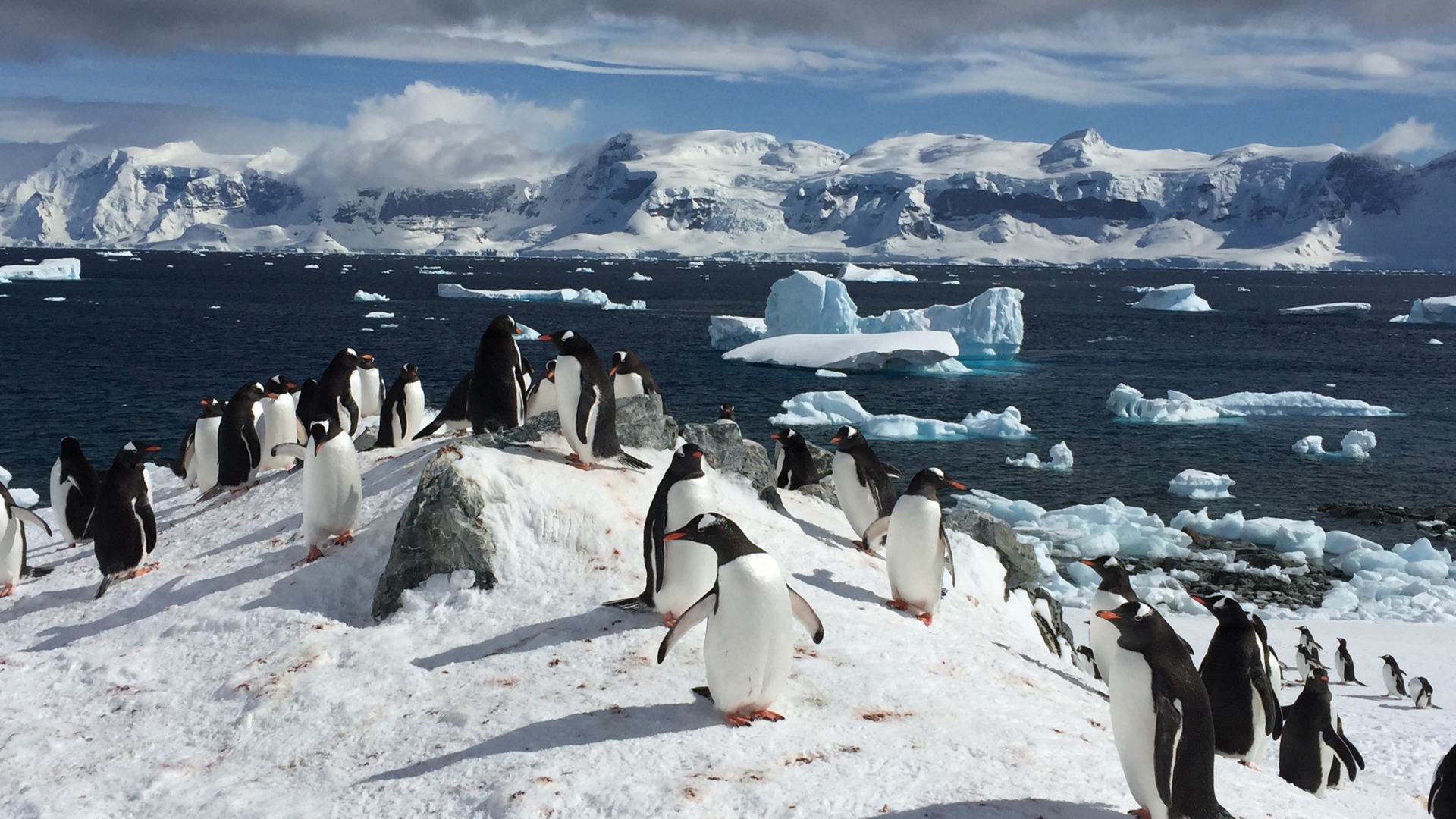 16 Day Antarctica Undiscovered and Rio de Janeiro Premium Tour 2026