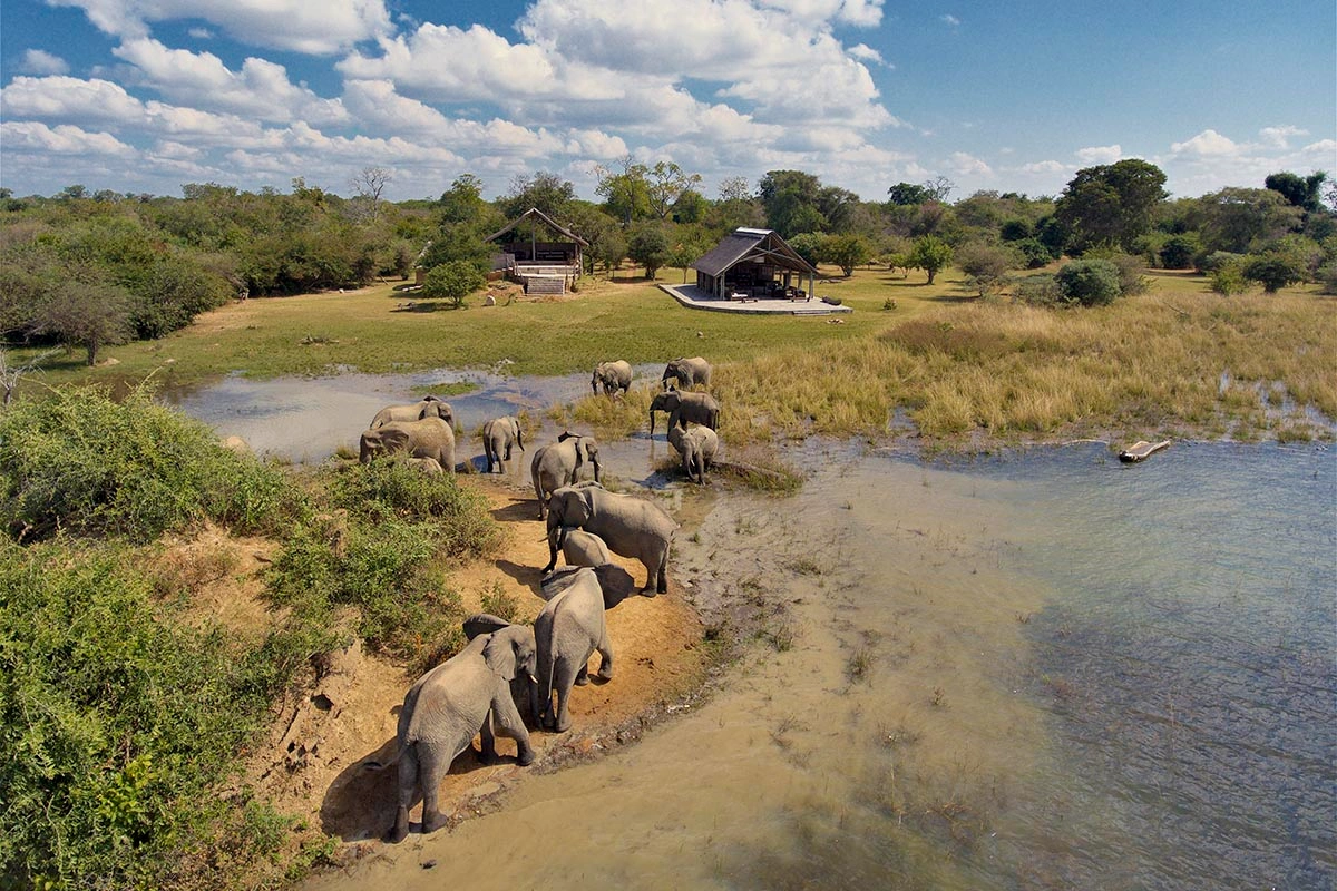 Kafue National Park