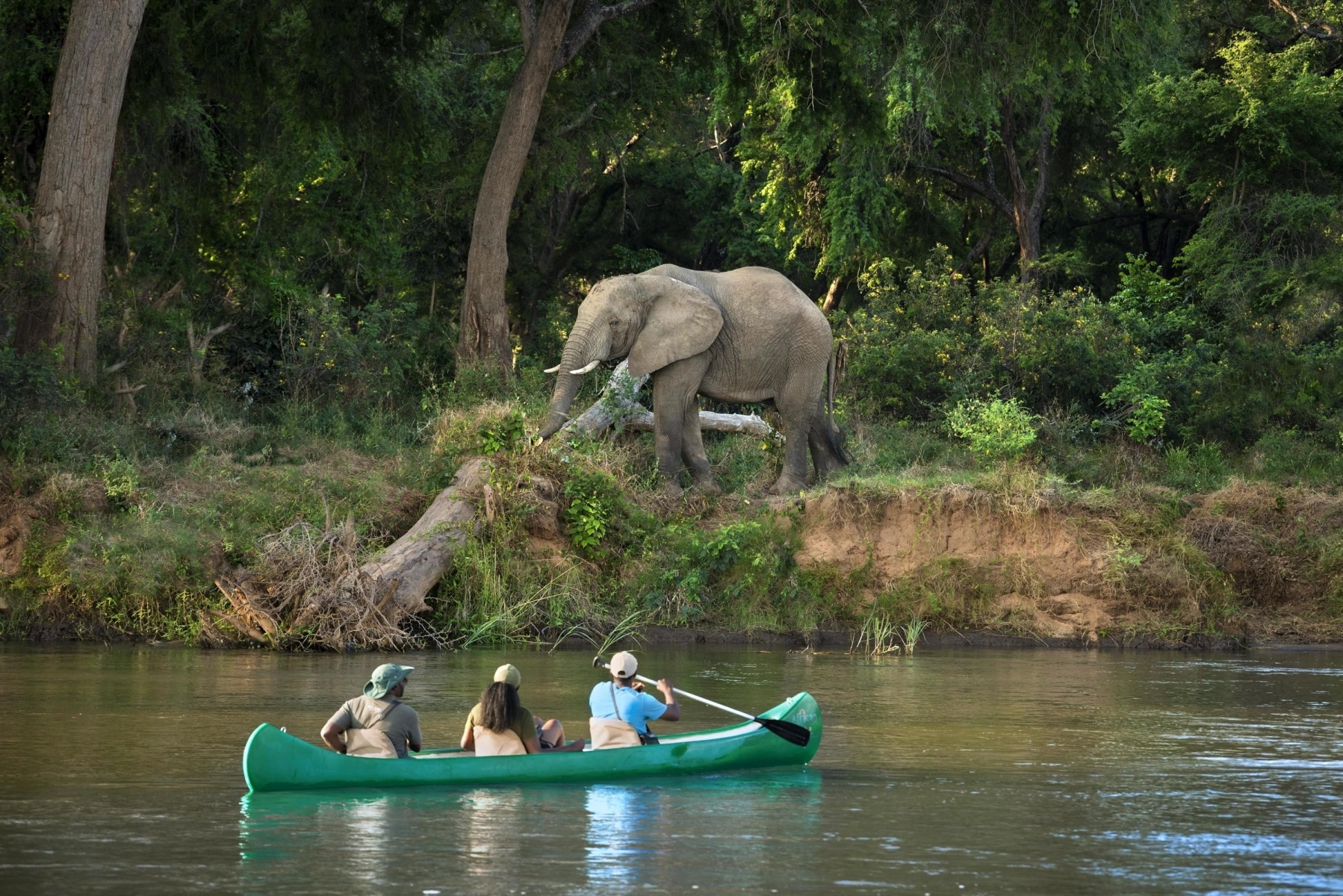 Lower Zambesi National Park