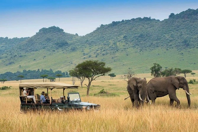 Maasai Mara