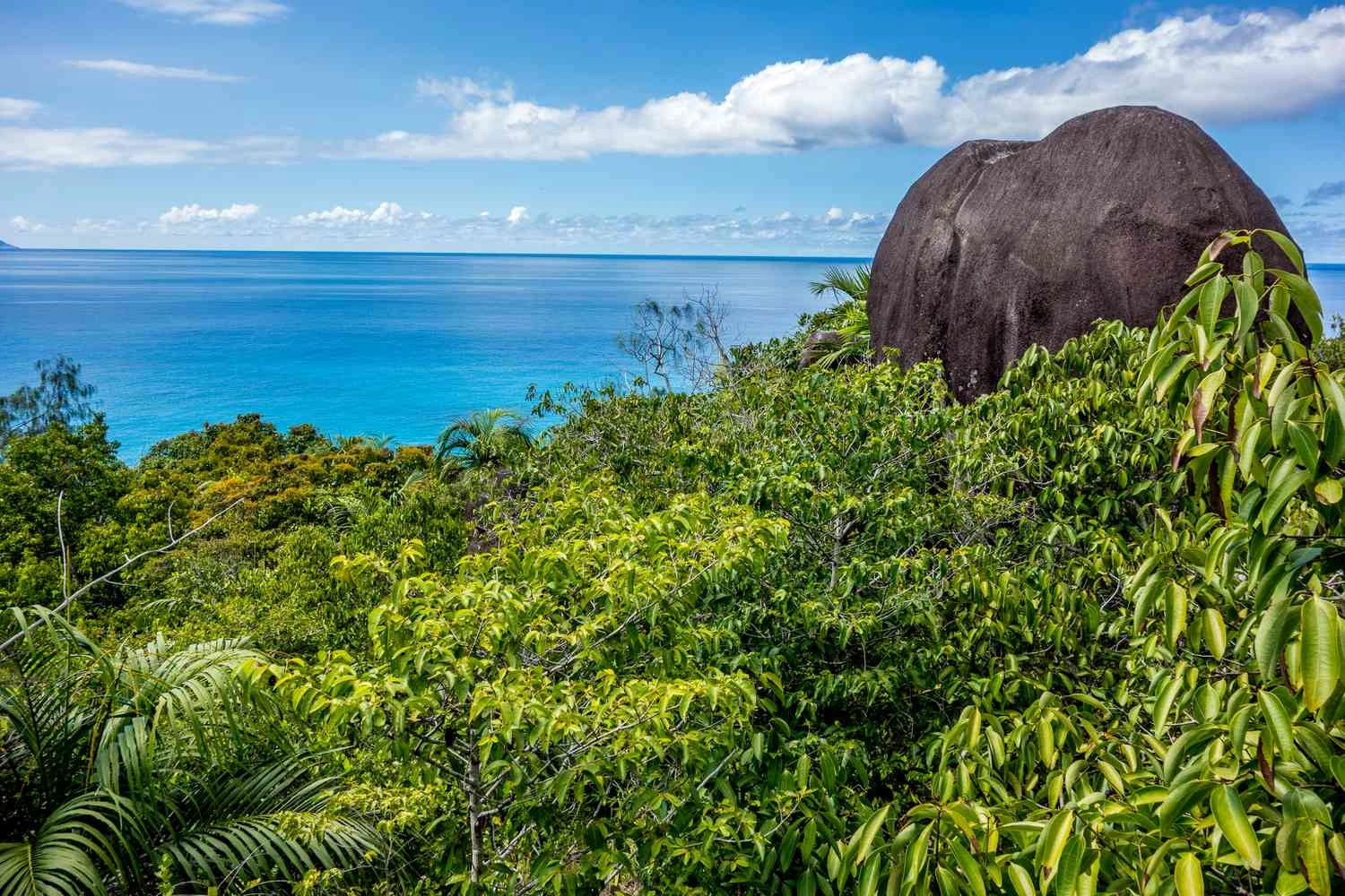 Morne Seychellois National Park