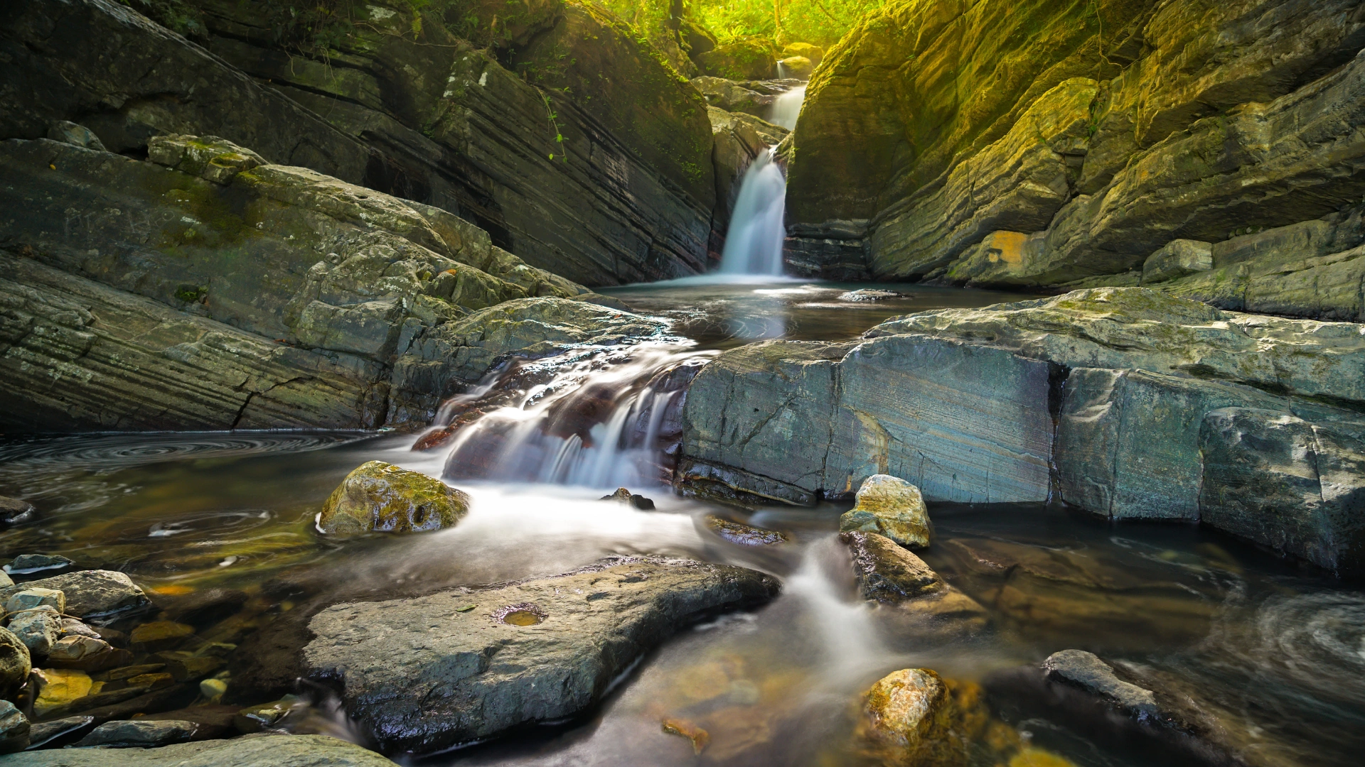 El Yunque National Forest