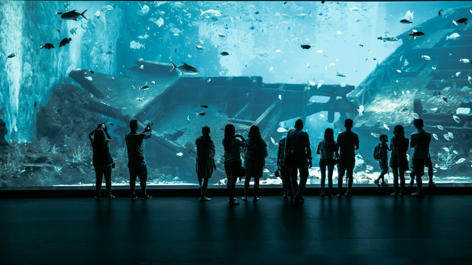 Day 03: Universal Studios and SEA Aquarium