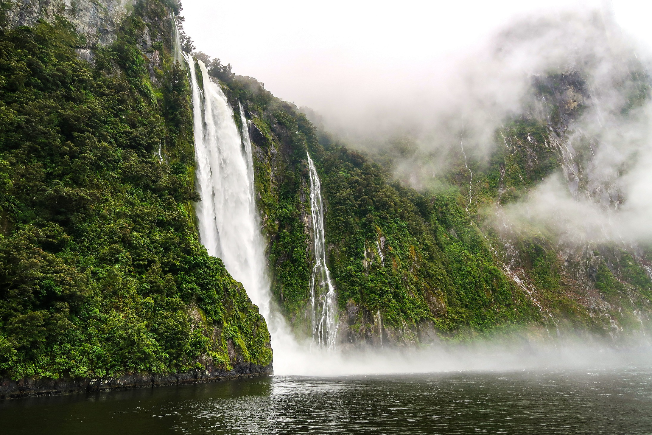 Day 12: Discover Milford Sound Tour