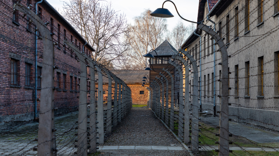 Day 2: Auschwitz-Birkenau Tour