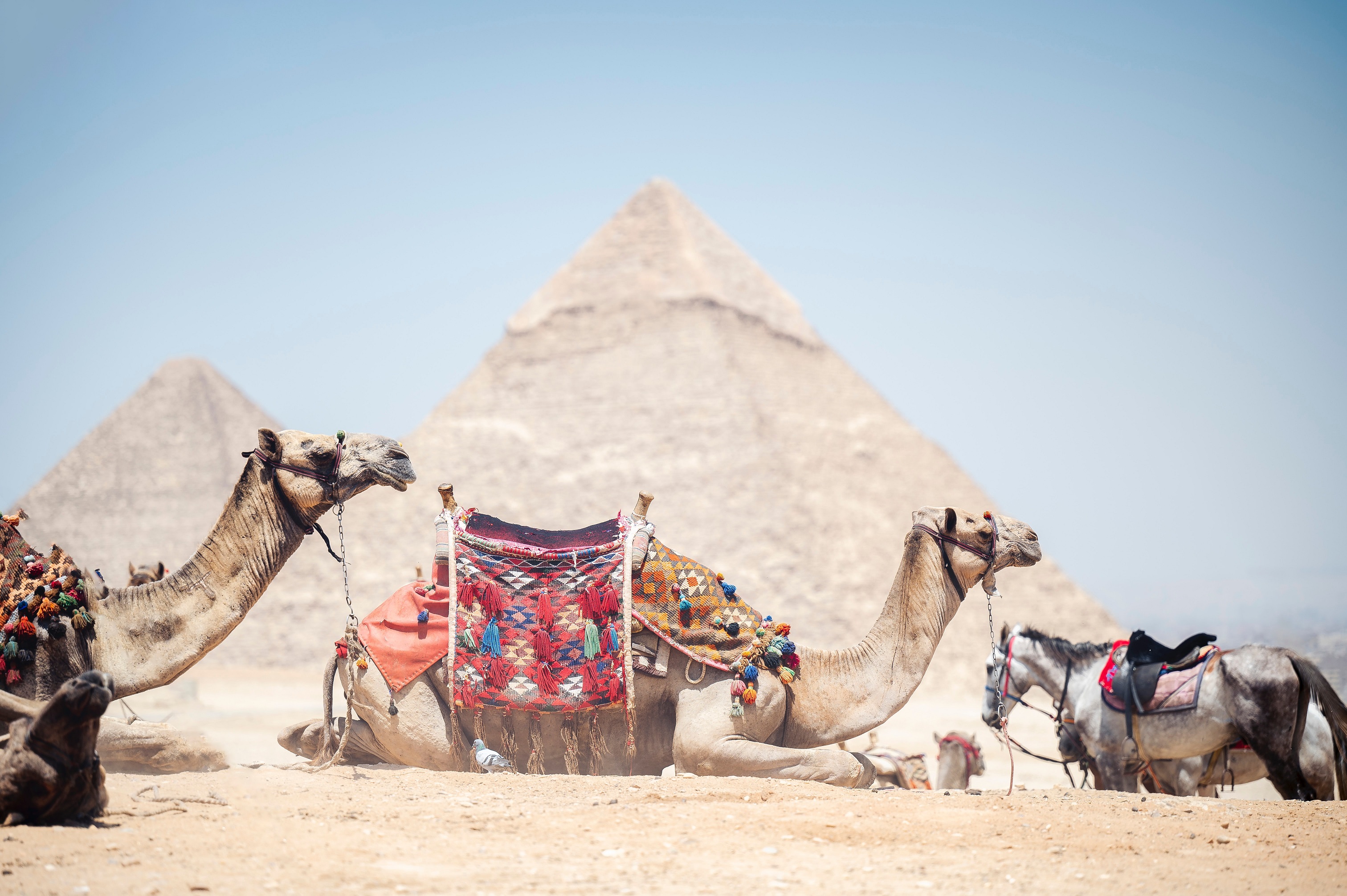 Pyramids to Skyscrapers: Egypt and Dubai Tour
