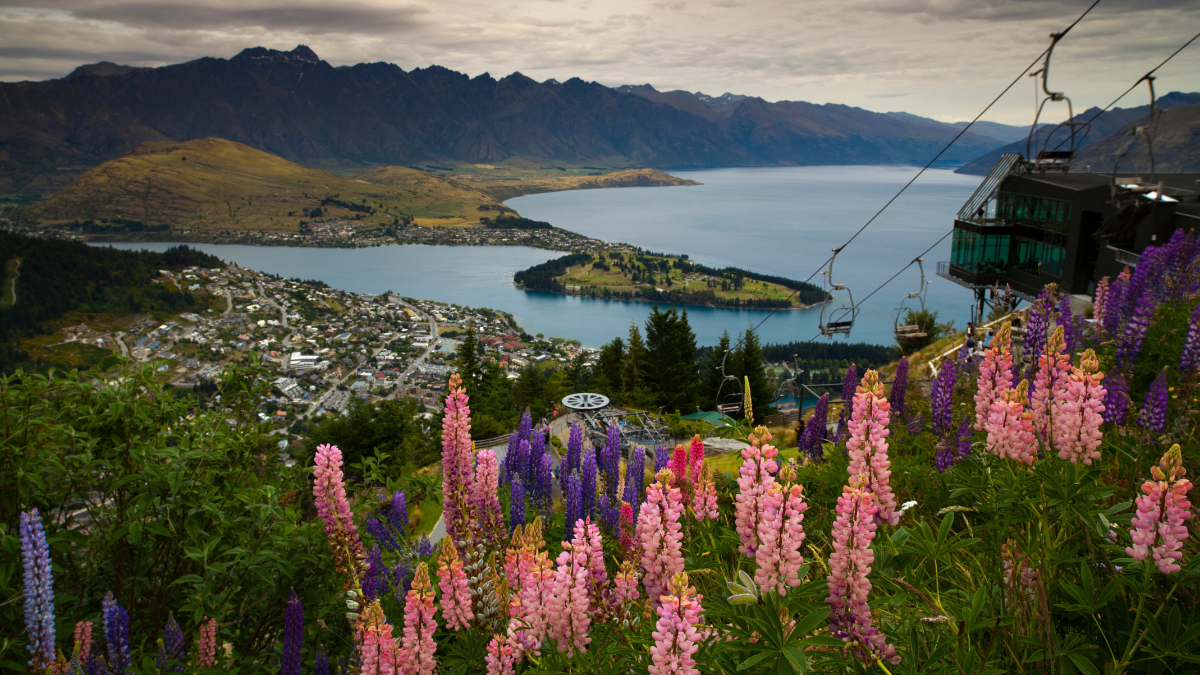 Day 05: Departure from Rotorua- Queenstown 