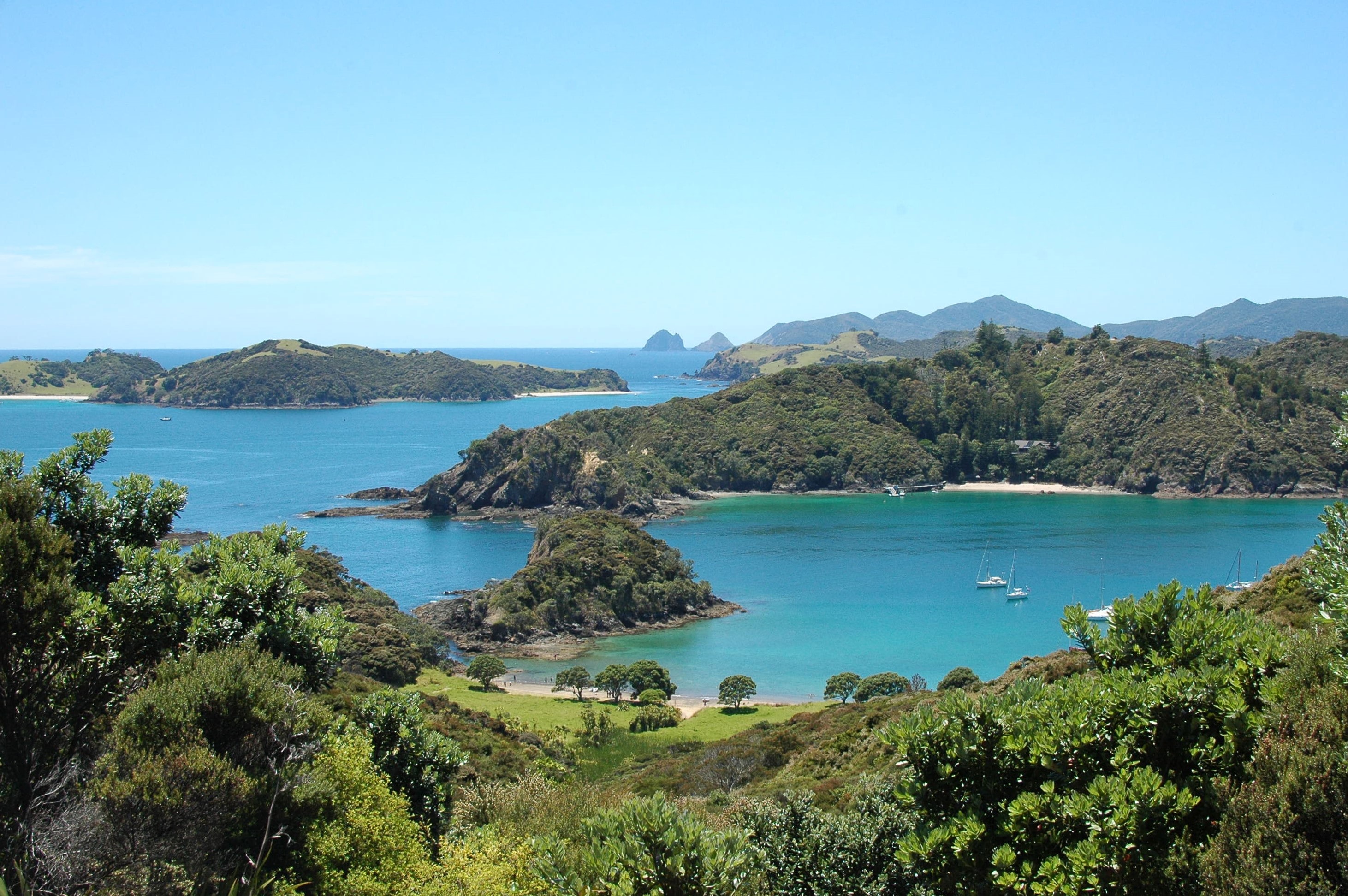 Day 03: Auckland to Bay of Islands & Waitangi Treaty Grounds