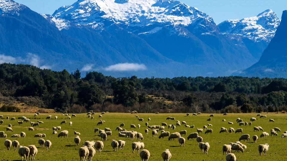 Day 05: Departure from Rotorua- Queenstown 