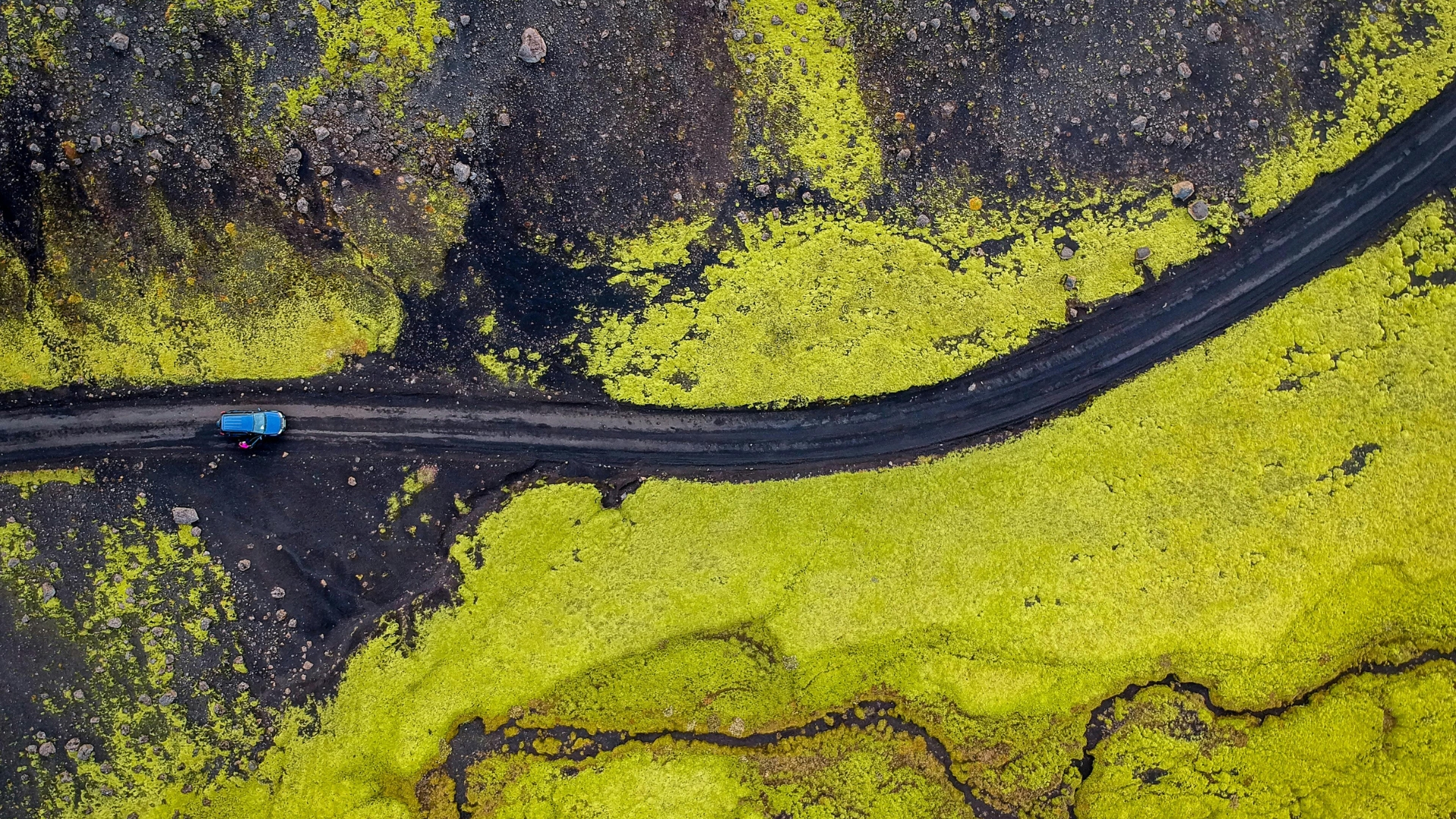 Is Iceland worth visiting in 2025? Here’s why everyone’s saying yes