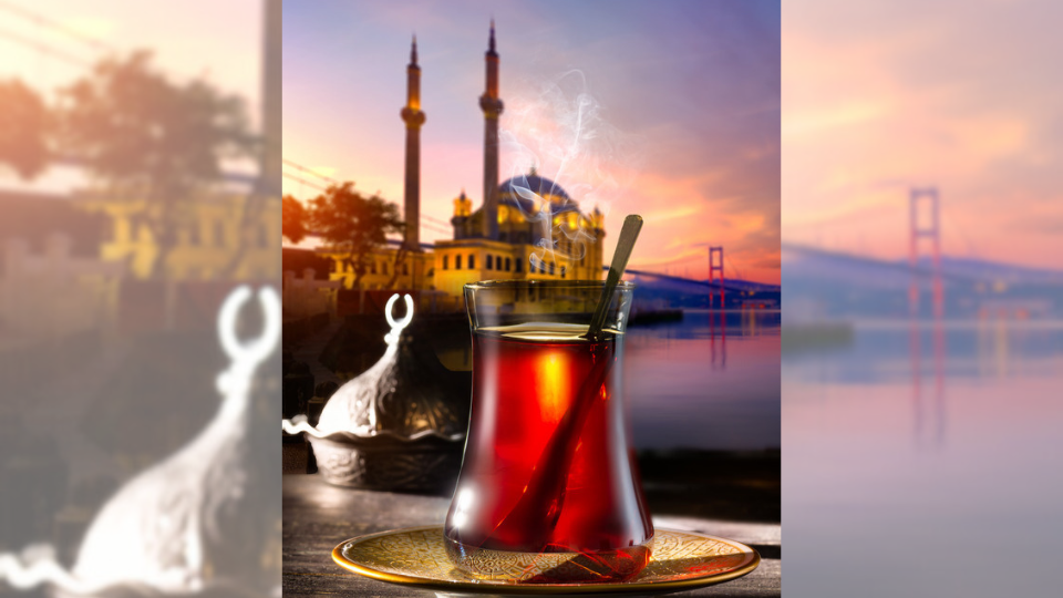 Gastronomic Turkey: The Culinary Side of Turkey