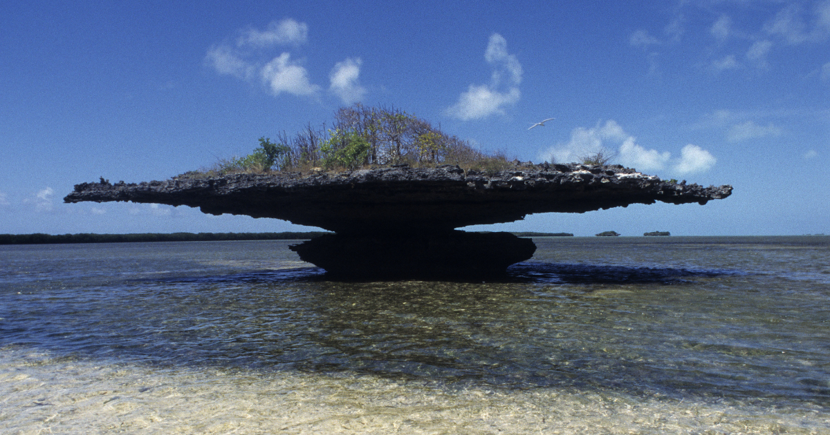 Aldabra Atoll