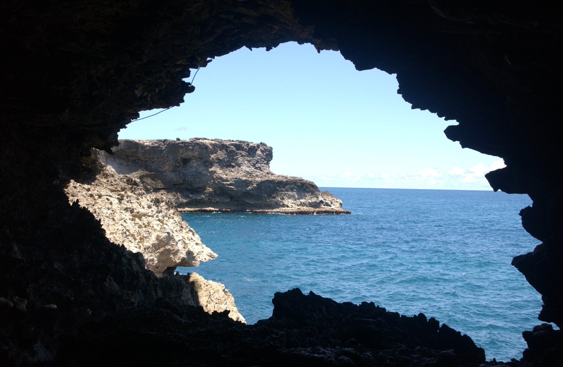 Animal Flower Cave