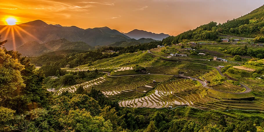 Banaue Rice Terraces