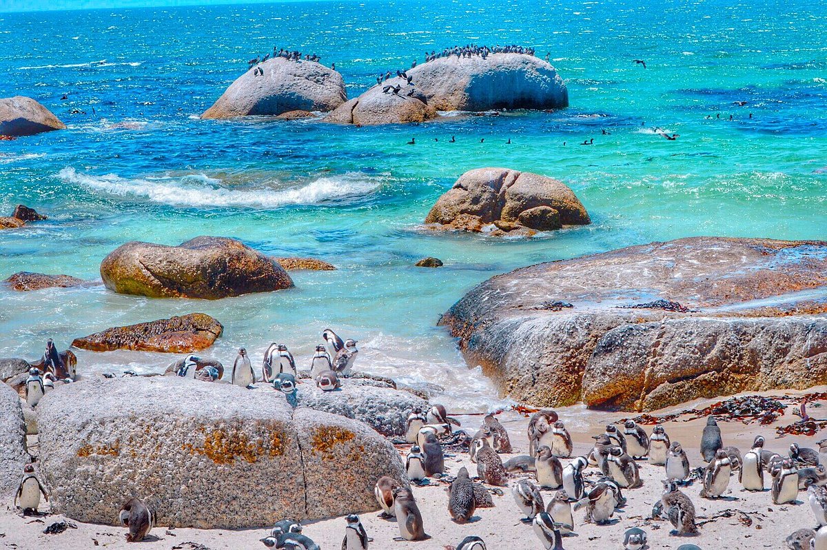 Boulders Beach