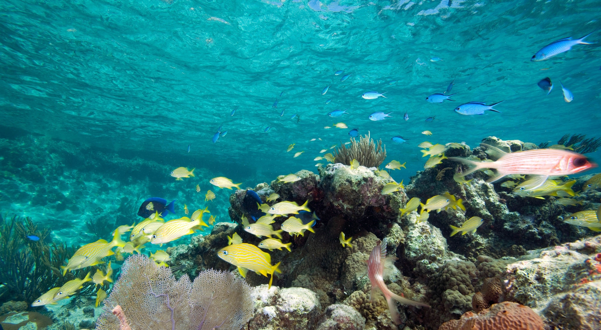 Exuma Cays Land and Sea Park