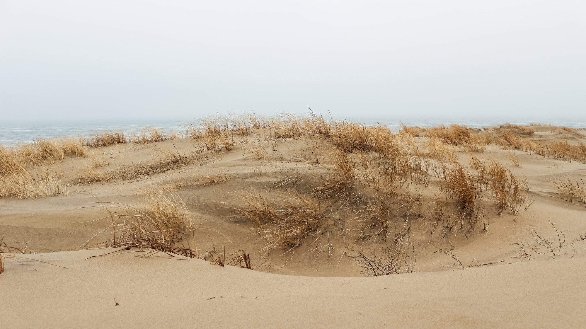 Curonian Spit National Park