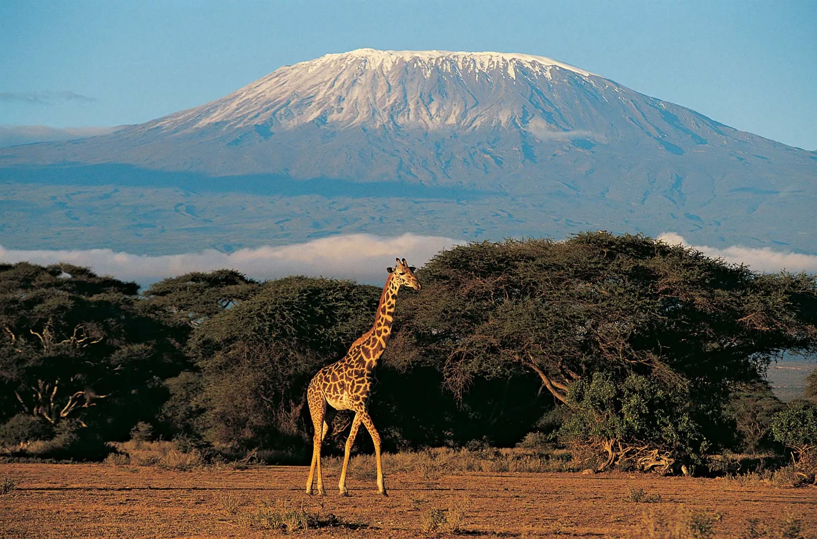 Mount Kilimanjaro