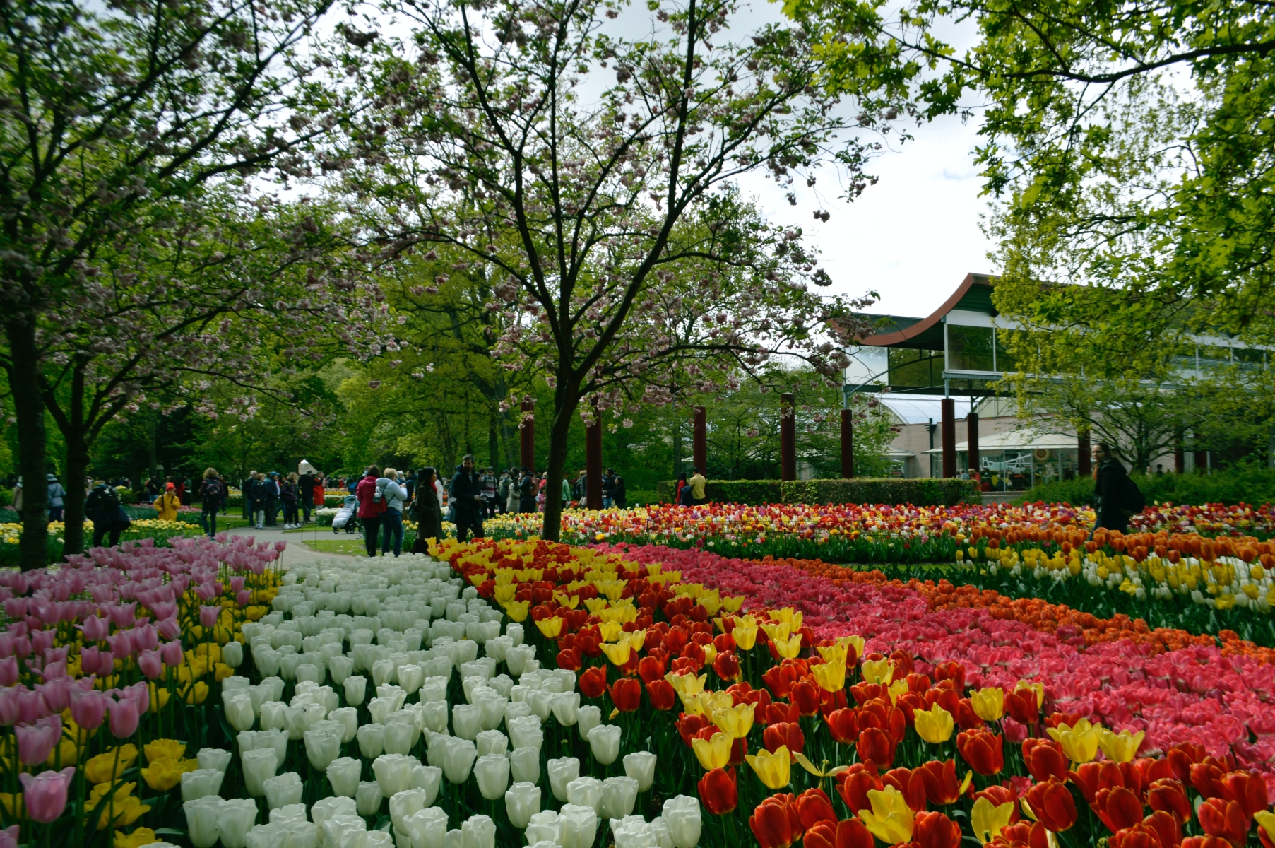  Keukenhof Gardens