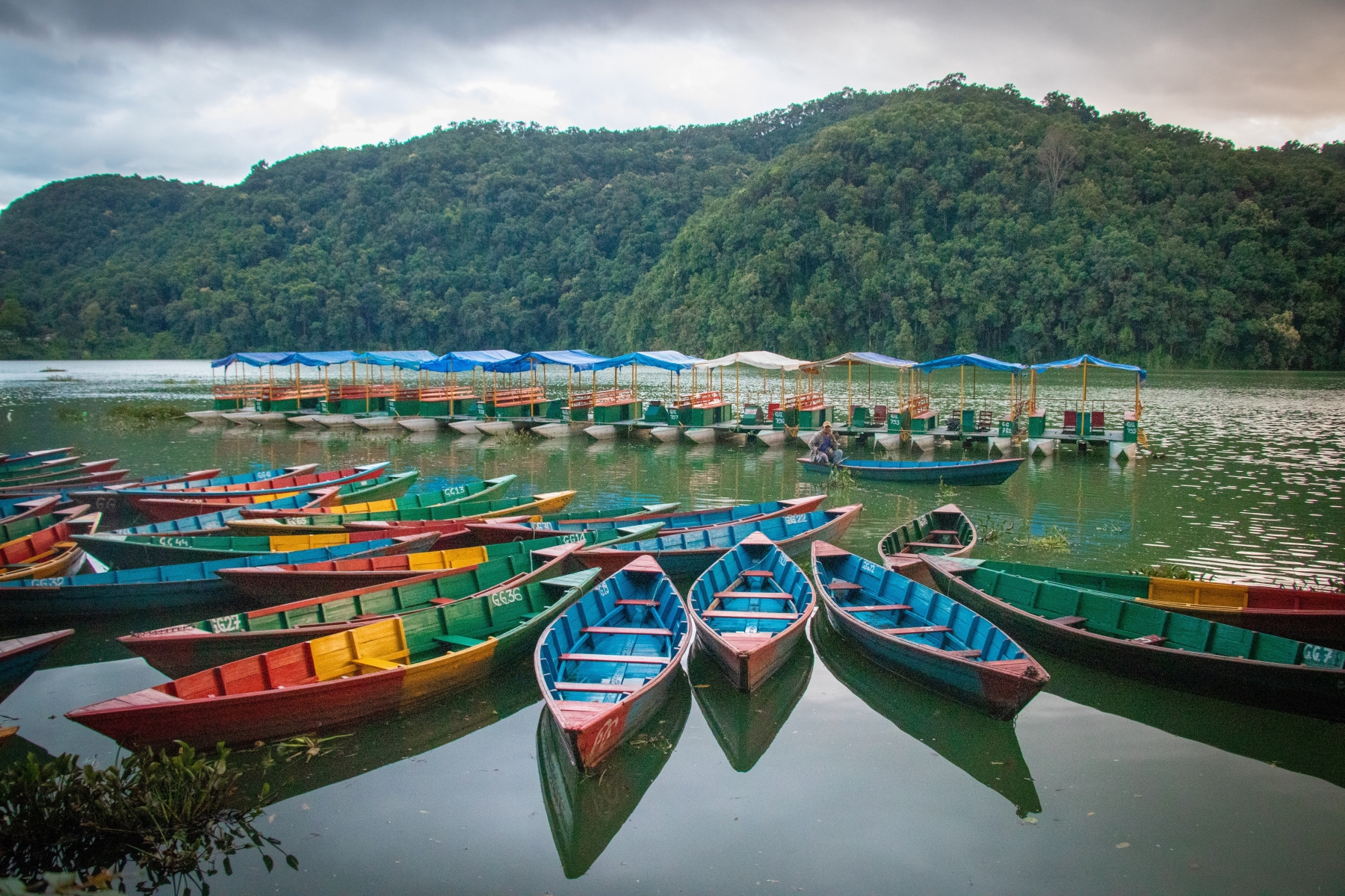 Phewa Lake