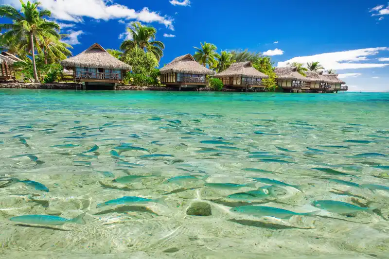 Tahiti