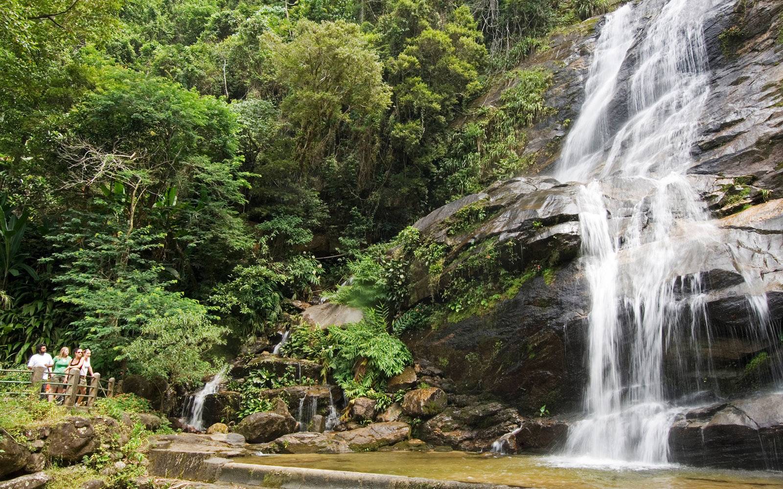 Tijuca Forest